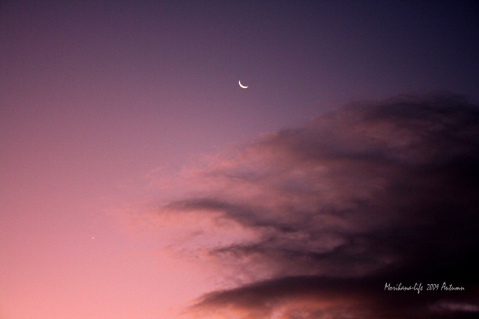 Morning Moon blog.jpg